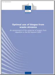 Optimal use of biogas from waste streams