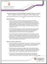 Business Energy and Industrial Strategy Committees Inquiry on Leaving the EU