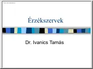 Dr. Ivanics Tamás - Érzékszervek