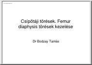 Dr Bodzay Tamás - Csípőtáji törések. Femur diaphysis törések kezelése