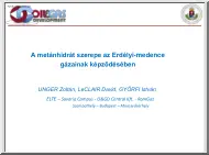 A metánhidrát szerepe az Erdélyi-medence gázainak képződésében