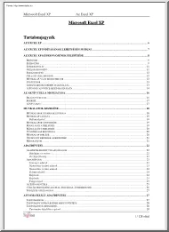 Microsoft Excel XP