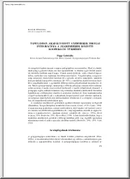 Papp Gabriella - Tanulásban