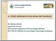 Dr. Bohács Anikó - A tüdő