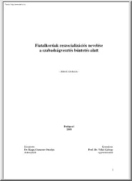 Fiatalkorúak reszocializációs