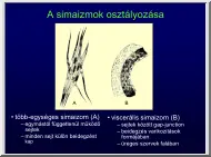 A simaizmok osztályozása