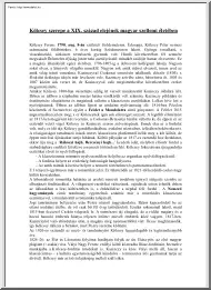 Kölcsey szerepe a XIX. század