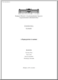 A Papírgyártás és enzimei, kiselőadás
