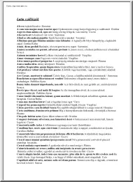 Latin szállóigék