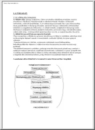 Vállalatgazdaságtan jegyzet, 2004