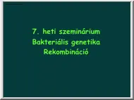 Bakteriális genetika