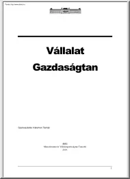 Kelemen Tamás - Vállalat gazdaságtan