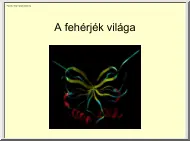 A fehérjék világa