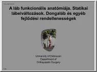 A láb funkcionális anatómiája. Statikai lábelváltozások. Dongaláb és egyéb fejlődési rendellenességek