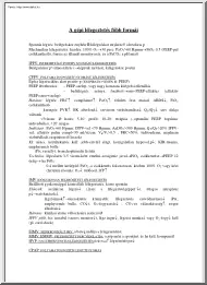 A gépi lélegeztetés főbb formái