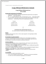 A nagy földrajzi felfedezésekről