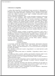 A bürokrácia és a közpolitika