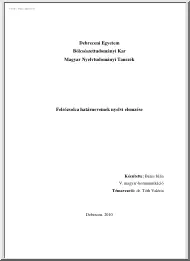 Béres Júlia - Felsőzsolca határneveinek nyelvi elemzése