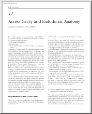 Arnaldo Castellucci - Access cavity and endodontic anatomy