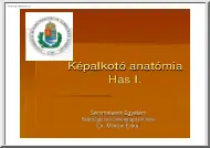 Dr. Márton Erika - Képalkotó