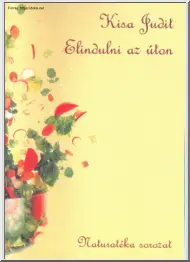 Kisa Judit - Elindulni az úton..