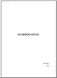 Orosz Ágnes - A város másik oldala