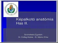 Dr.Csillag-Dr.Márton - Képalkotó