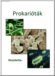Nagy Zsanett - Prokarióták