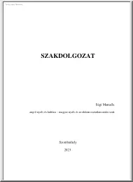 Sági Manuéla - Helynév-szociológiai