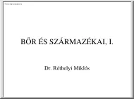 Dr. Réthelyi Miklós - A bőr és