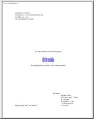 Bíró Krisztián - Írország