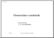 Reusz György - Glomeruláris