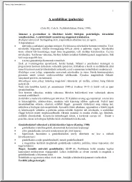 A serdülőkor (pubertás)