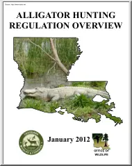 Alligator Hunting Regulation Overview