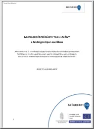 Munkaegészségügyi tanulmány a
