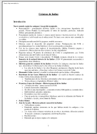 Crónicas de Indias