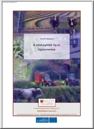 Ferschl Barbara - A zöldségfélék