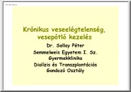 Dr. Sallay Péter - Krónikus veseelégtelenség, vesepótló kezelés