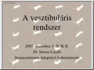 Dr. Simon László - A vesztibuláris