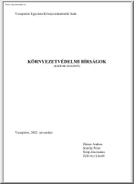 Dénes Andrea - Környezetvédelmi bírságok