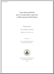 Ábele-Nagy Kristóf - Nem teljesen kitöltött páros összehasonlítás mátrixok a többszempontú döntésekben, diplomamunka