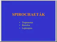 Spirochaeták