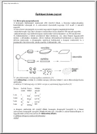 Építőipari kémia jegyzet