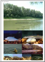 A Tisza halállományának alakulása a 2000-ben történt nagybányai katasztrófa után