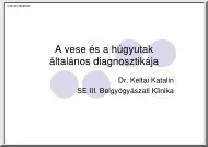 Dr. Keltai Katalin - A vese és a