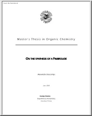 Alexandre Descomps - Masters thesis in Organic Chemistry, on the synthesis of Fimbrolide