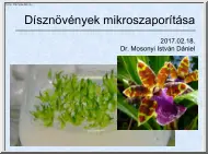 Dr. Mosonyi István Dániel