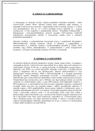 A színtest és a mitokondrium, illetve a sejtmag és a sejtosztódás
