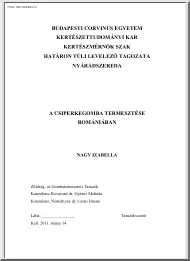 Nagy Izabella - A csiperkegomba