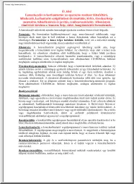 Lemezkezelés és karbantartás-az